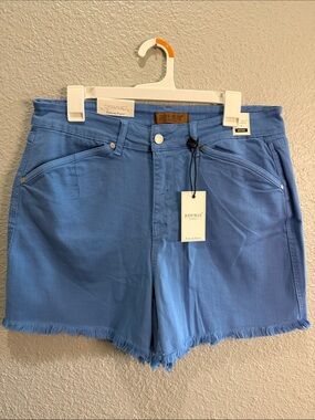 Judy Blue Sky Blue High-Rise Frayed Hem Shorts size 1XL NWT